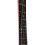 Martin Grand Performance Road Series With Case