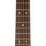 Martin Lefty DX2E 12-String With Gig Bag