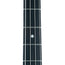 Music Man StingRay Special Roasted Maple Neck, Smoked Chrome, MHS