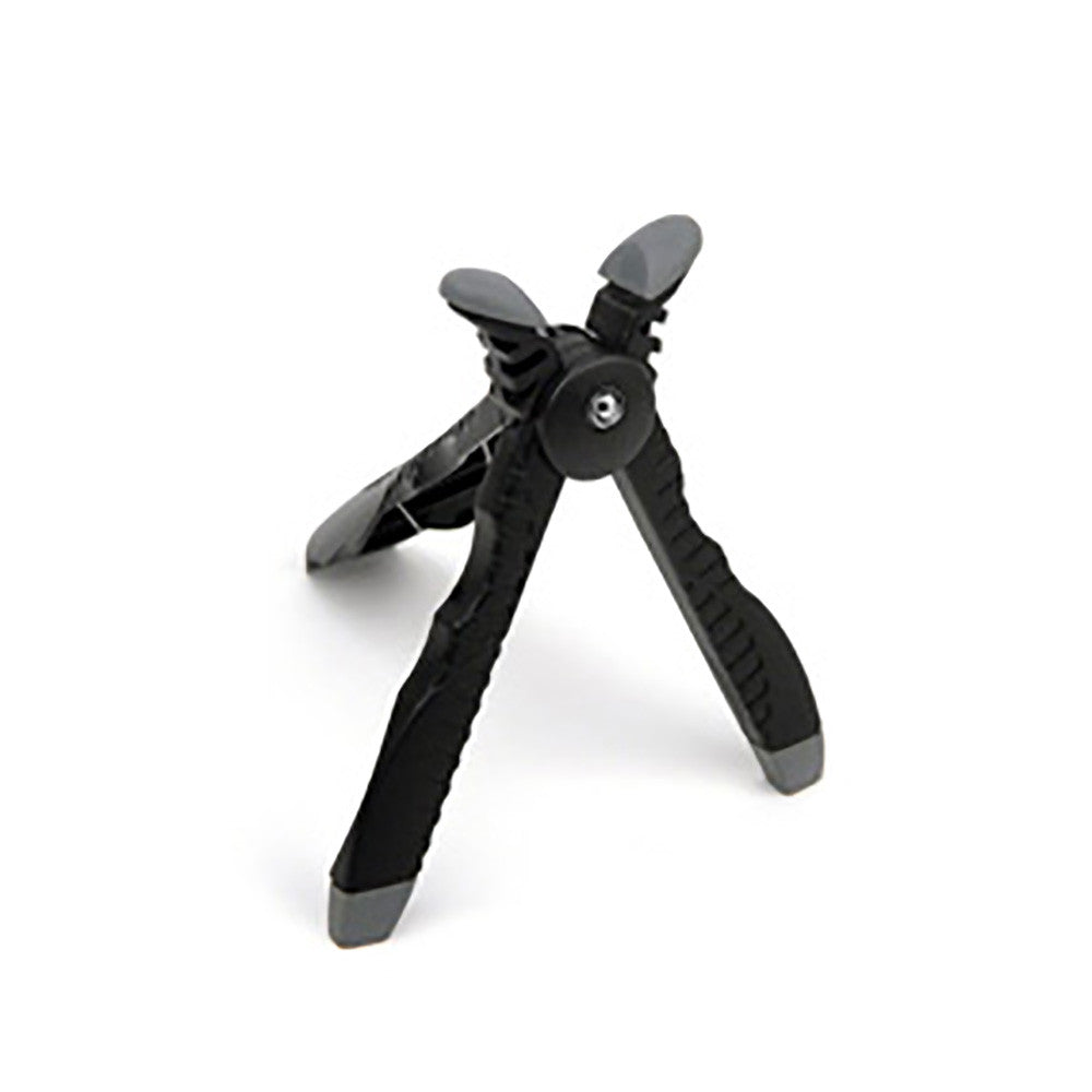 D'Addario The Headstand