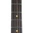 Reverend Charger 290 Electric Guitar, Roasted Maple Neck, Rosewood, Mulberry Mist