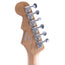 Reverend Charger 290 Pau Ferro, Coffee Burst