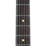Reverend Double Agent OG Electric Guitar, Rosewood, Metallic Silver Freeze