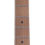 Reverend Double Agent W With Wilkinson Tremolo Roasted Maple, Outfield Ivy