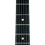 Reverend Greg Koch Gristle 90 Electric Guitar, Ebony, Tosa Turquoise