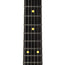 Reverend Reeves Gabrels Spacehawk Signature - Metallic Red
