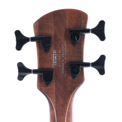 Spector NS Ethos 4, Super Faded Black Gloss