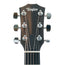 Taylor 214ce Grand Auditorium Acoustic Guitar with Sitka Spruce Top, Rosewood Back and Sides