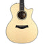 Taylor 814CE Limited Grand Auditorium NAMM Exclusive
