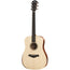 Taylor Academy Series A10 Dreadnought with Solid Sitka Spruce Top, Layered Sapele Back & Sides