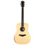 Taylor Academy Series A10E Dreadnought with Sitka Spruce Top, Back and Sides