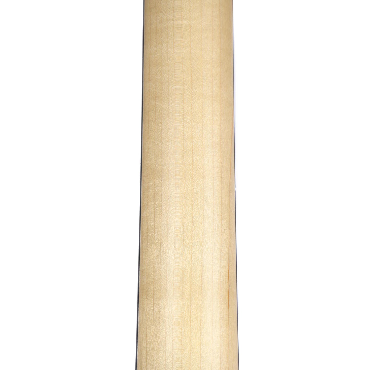 Taylor Academy Series A10E Dreadnought with Sitka Spruce Top, Back and Sides