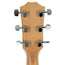 Taylor Academy Series A22E Grand Concert Acoustic Guitar, Solid Walnut Top, With Electronics