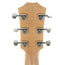 2021 Taylor GT 611e Limited Edition Grand Theater, Maple / Spruce With ES2 And Aerocase