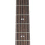 Taylor GTe Grand Theater, Urban Ash
