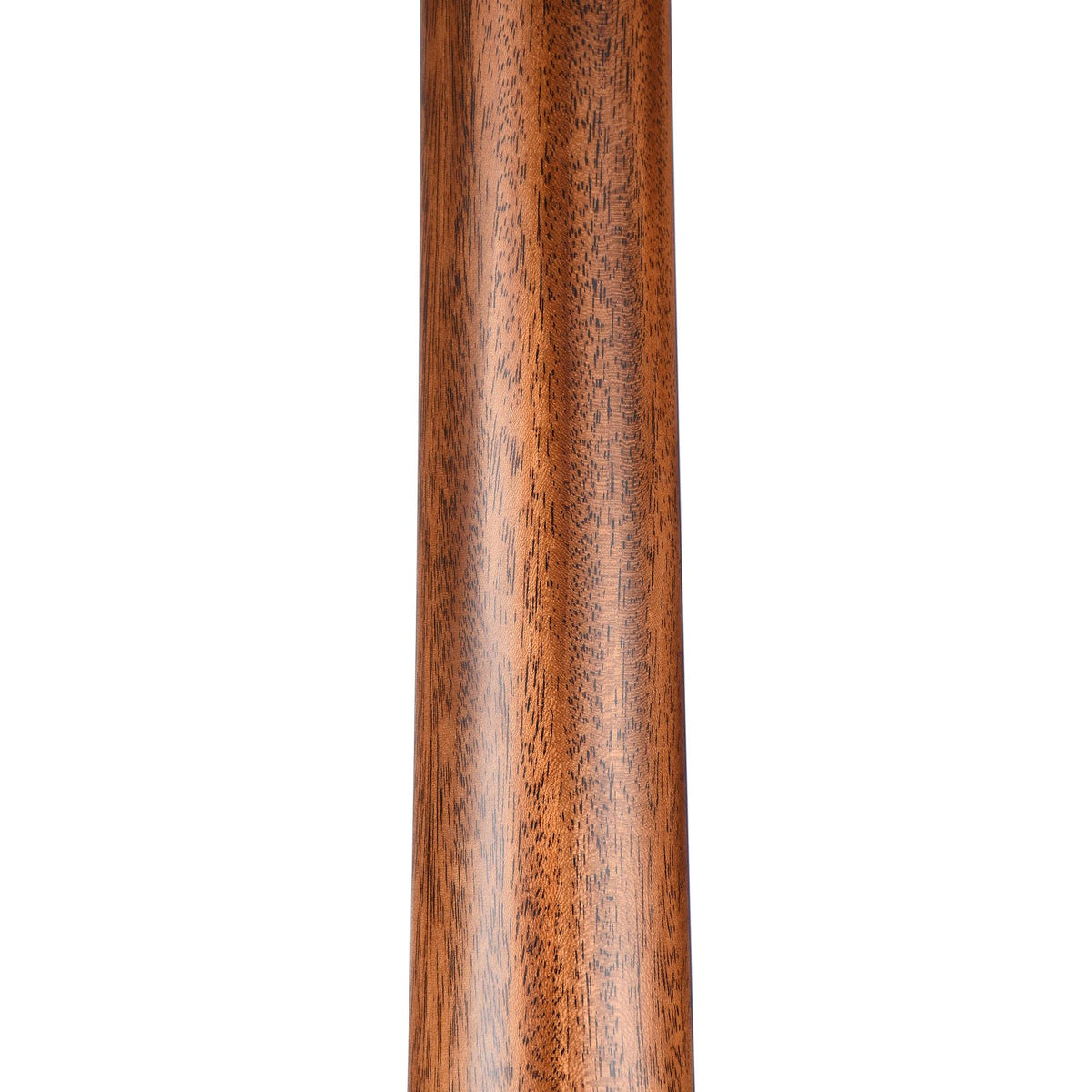 Taylor Limited 300 Series Blackwood Mahogany Baritone 6 String