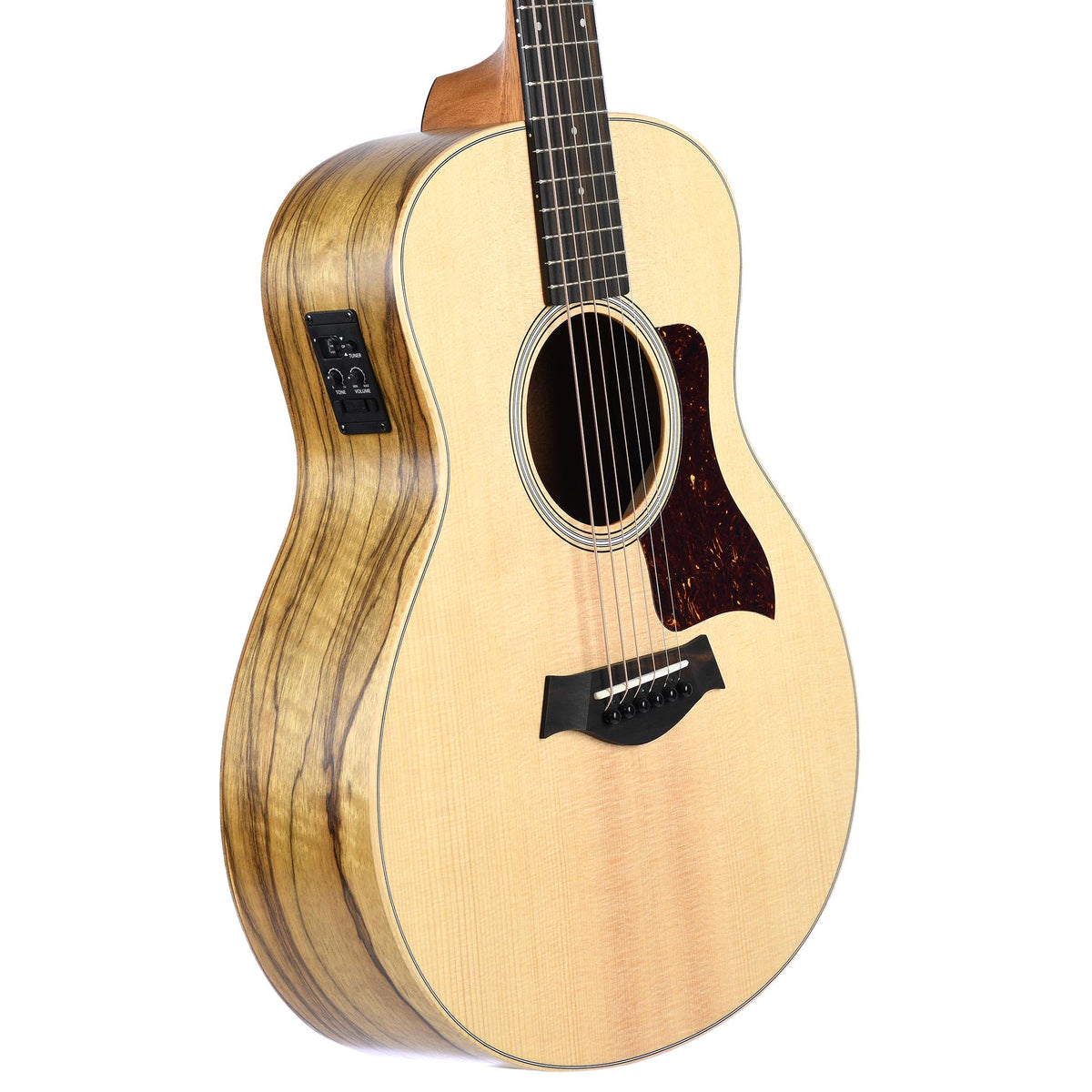 Taylor Road Show Limited GS Mini-E Black