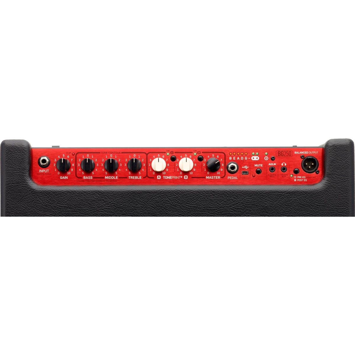 TC Electronic 250W 2x10 Bass Combo Amp with 2 Toneprint Slots - Black