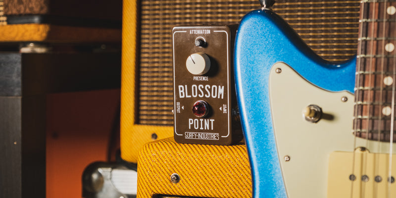 Surfy Blossom Point Amp Simulator Review
