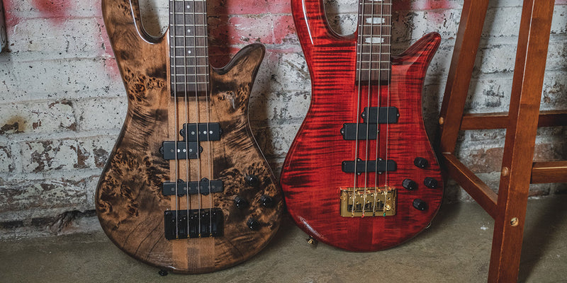 Spector Bass Brand Spotlight