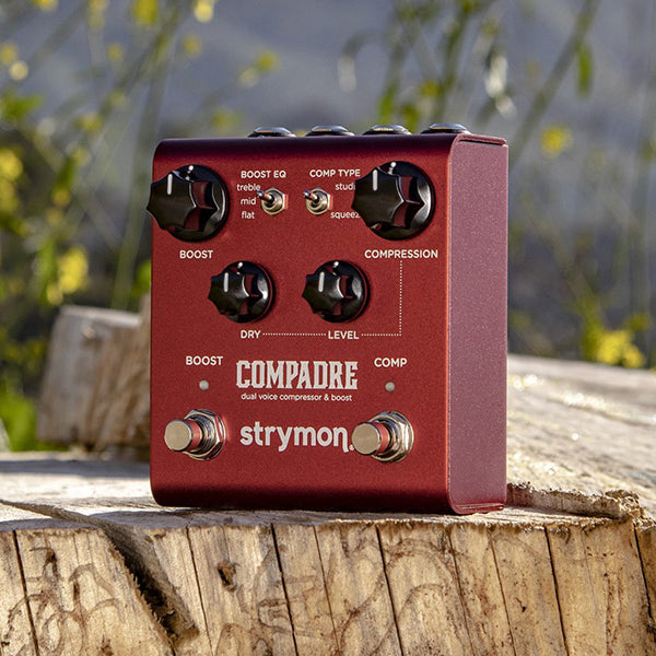 Strymon Compadre First Thoughts