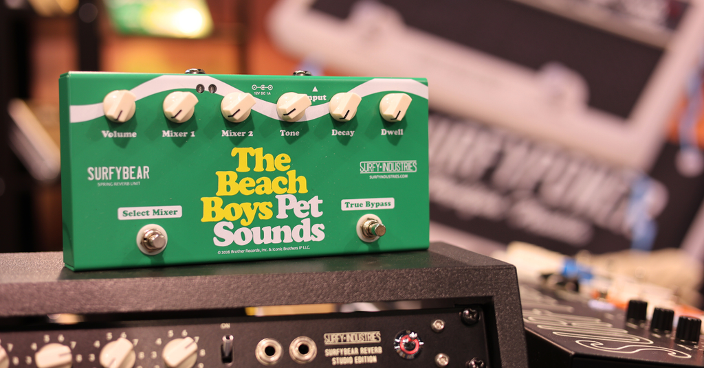 surfy-debuts-beach-boys-pet-
