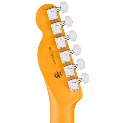 Fender American Professional Telecaster Electric Guitar, Rosewood Fingerboard, Oxblood