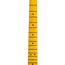 Fender American Professional II Telecaster Maple, Roasted Pine