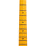 Fender American Professional Classic Stratocaster Electric Guitar, 3-Color Sunburst