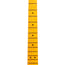 Fender American Professional Classic Telecaster Electric Guitar, Butterscotch Blonde