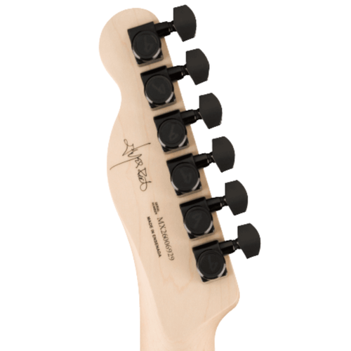Fender Limited Edition Jim Root Telecaster Electric Guitar, Ebony Fingerboard, Shoreline Gold