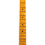 Fender 75th Anniversary Vintera Road Worn 1951 Telecaster Electric Guitar, Butterscotch Blonde