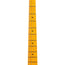 Fender American Professional II Jazz Bass Guitar, Maple, Mystic Surf Green