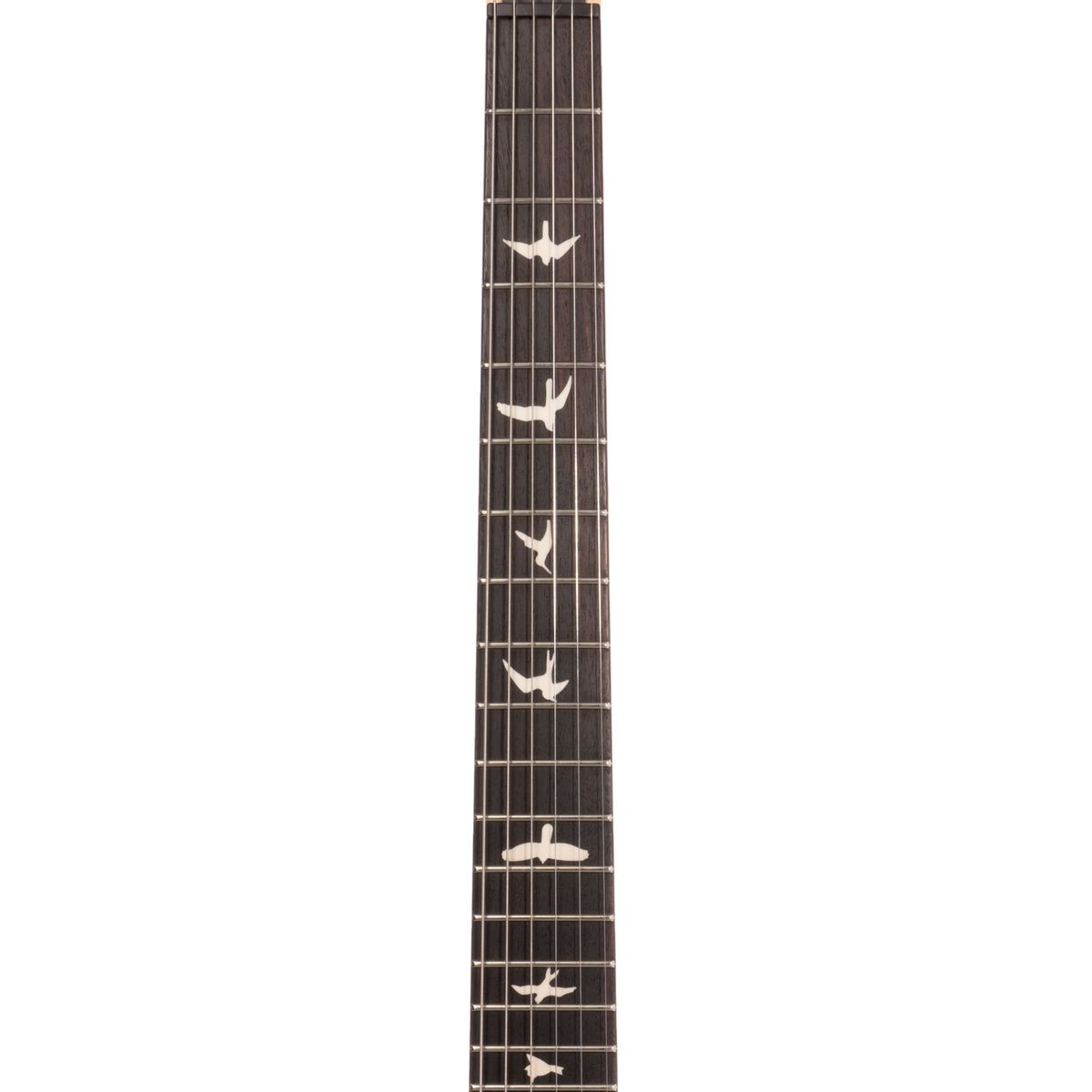 PRS CE24 Semi-Hollow Electric Guitar, Rosewood Fingerboard, Eriza Verde w/ Gig Bag