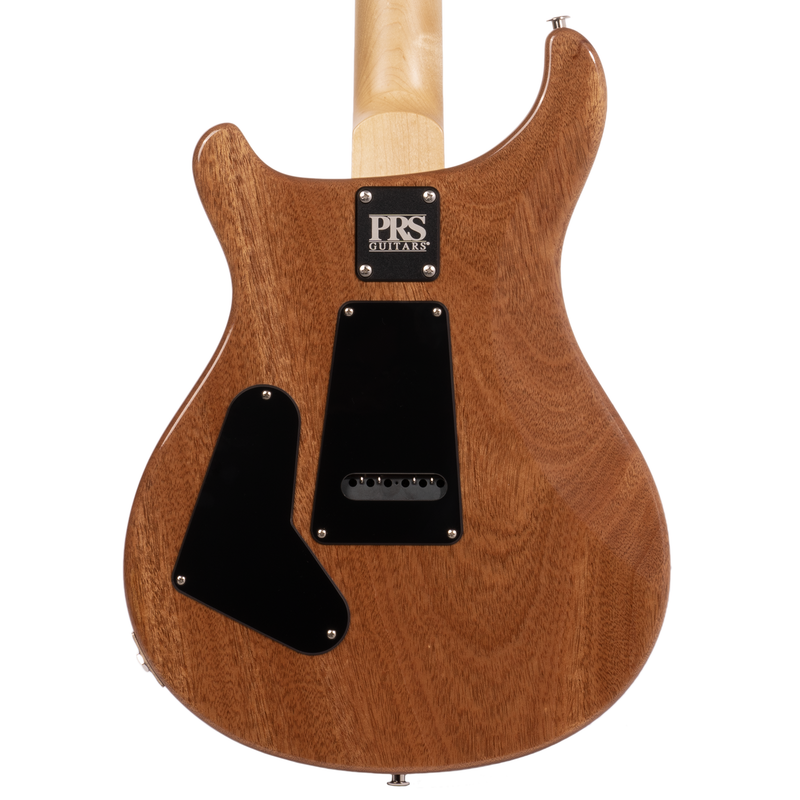 PRS CE24 Semi-Hollow Electric Guitar, Rosewood Fingerboard, Eriza Verde w/ Gig Bag
