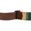 Fender 2" Sonoran Strap, Saguaro