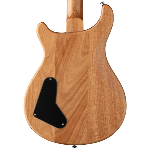 PRS SE Paul's Guitar, Rosewood Fingerboard, Turquoise