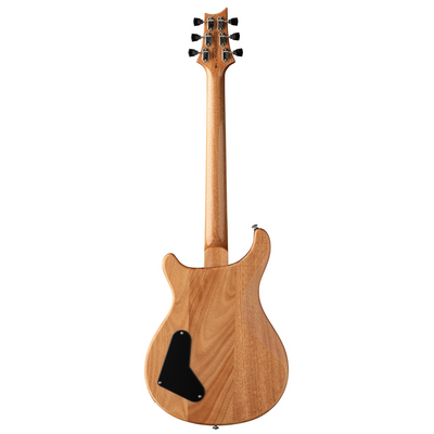 PRS SE Paul's Guitar, Rosewood Fingerboard, Turquoise