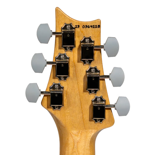 PRS Silver Sky Electric Guitar, Rosewood Fingerboard, Roxy Pink