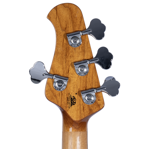 Musicman stingray bass case 2025
