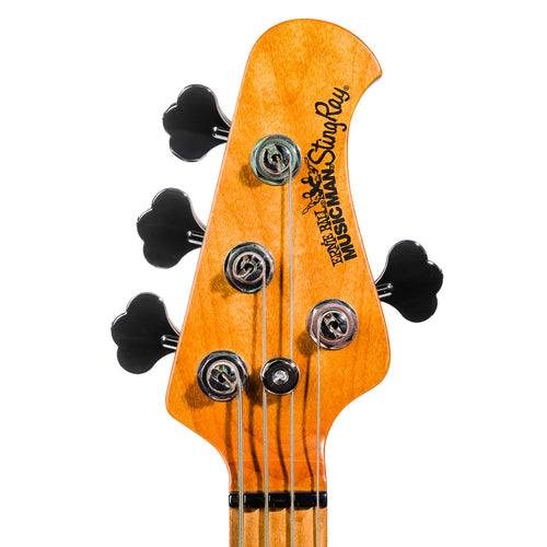Music Man StingRay Special Bass Guitar, Roasted Maple Fingerboard, Translucent Oxblood