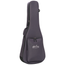 Martin GPC-16E Acoustic-Electric Guitar, Spruce/East Indian Rosewood