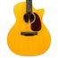 Martin GPC-16E Acoustic-Electric Guitar, Spruce/East Indian Rosewood