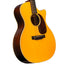 Martin GPC-16E Acoustic-Electric Guitar, Spruce/East Indian Rosewood