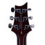 PRS SE DGT Signature McCarty Electric Guitar, Tobacco Sunburst With Bird Inlays