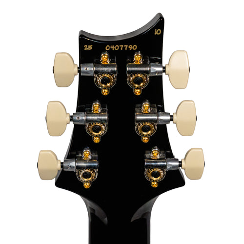 PRS Custom 24 10-Top Electric Guitar, Purple Mist