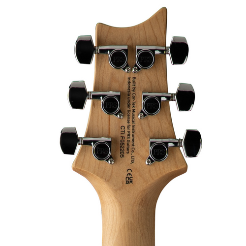 ダンカンSH-4搭載！PRS SE 指板LEDmod Meet the 2025 SE Series: New Models and Updates!