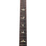 PRS Custom 24 Flame 10 Top Electric Guitar, Arctic Blue