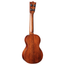 Martin FSC-Certified Concert Ukulele with Gig Bag