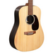Martin D-X2E 12-String Acoustic-Electric Guitar, Brazilian Rosewood w/Softshell Case